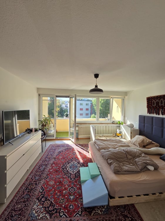 Helle 4.5-Zimmer-Wohnung mit sonnigem Balkon in Winterthur 4