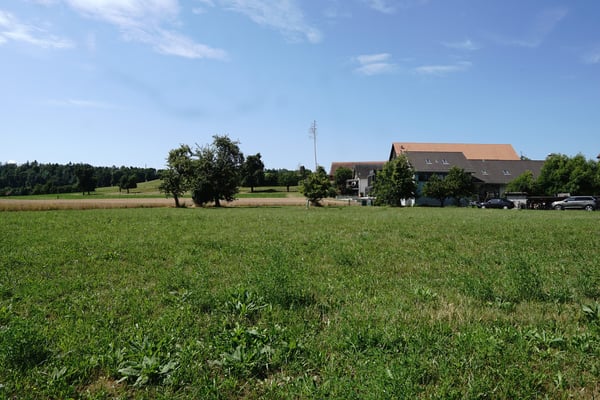 Attraktive Baulandparzelle in Waltalingen 1