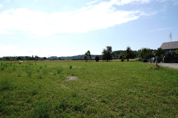 Attraktive Baulandparzelle in Waltalingen 4