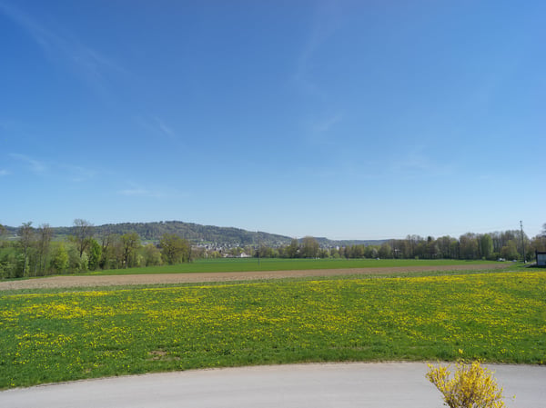 Gewerbe mit Aussicht in Unterengstringen 7