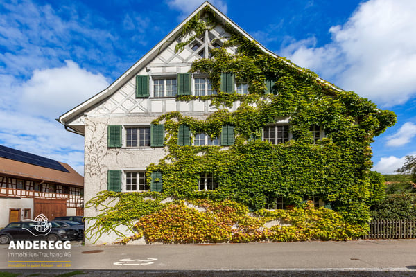 Aussergewöhnliche Gartenmaisonettewohnung mit zwei Aussenparkplätzen 3