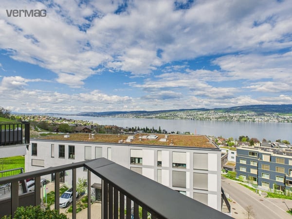 Weite. Licht. Alpenblick. 1.5 Zimmer zum Durchatmen am Zürichsee