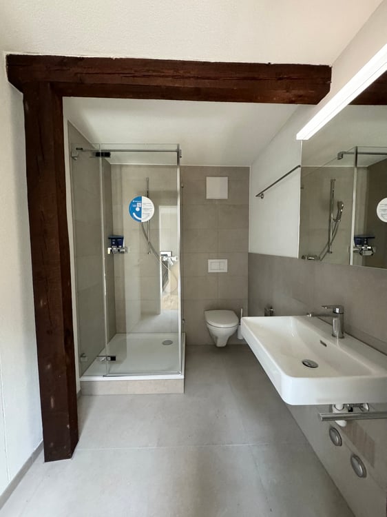 Charmante 1.5-Zimmer-Dachwohnung im Loft-Stil in St. Gallen 6