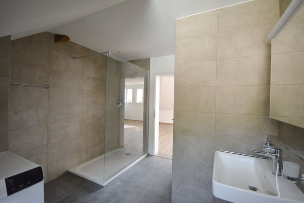 Loft-Dachwohnung auf 2 Etagen in Villa in Aarburg 5