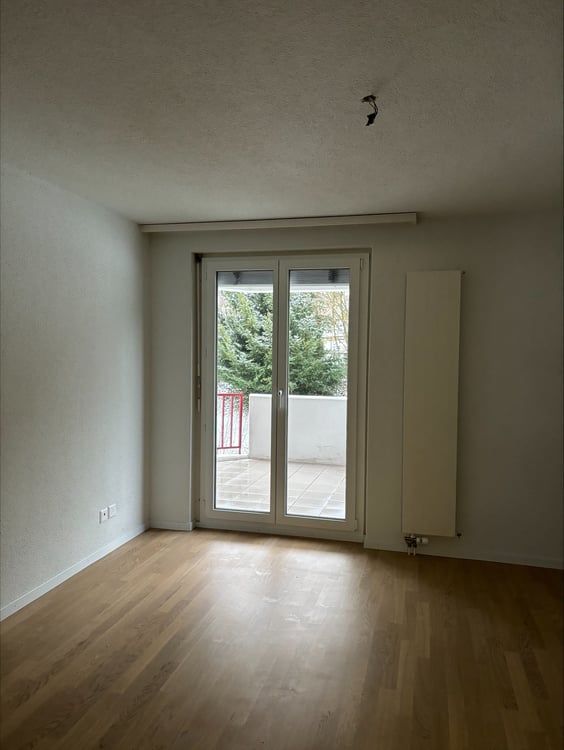 Geräumige 1.5-Zimmer Wohnung an ruhiger Lage in Frauenfeld 3