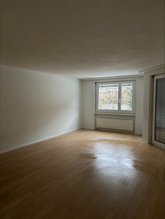 Geräumige 1.5-Zimmer Wohnung an ruhiger Lage in Frauenfeld 2