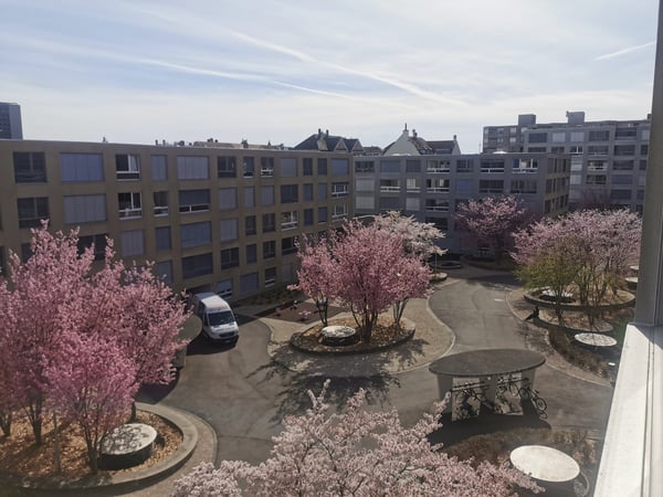 Zentral wohnen in Biel/Bienne 1