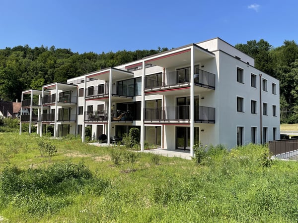 Erstvermietung - Tolle 1.5-Zimmer-Attikawohnung mit grosser Terrasse und Blick ins Grüne 2