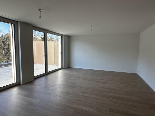 Erstvermietung - Tolle 1.5-Zimmer-Attikawohnung mit grosser Terrasse und Blick ins Grüne 5
