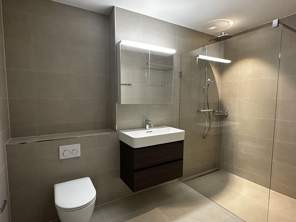 Erstvermietung - traumhafte 1.5-Zimmer-Attikawohnung mit grosser Terrasse und Blick ins Grüne 6