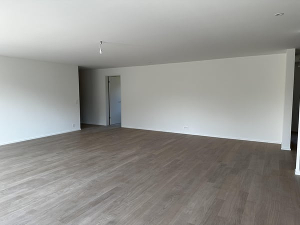 Erstvermietung - traumhafte 1.5-Zimmer-Attikawohnung mit grosser Terrasse und Blick ins Grüne 5