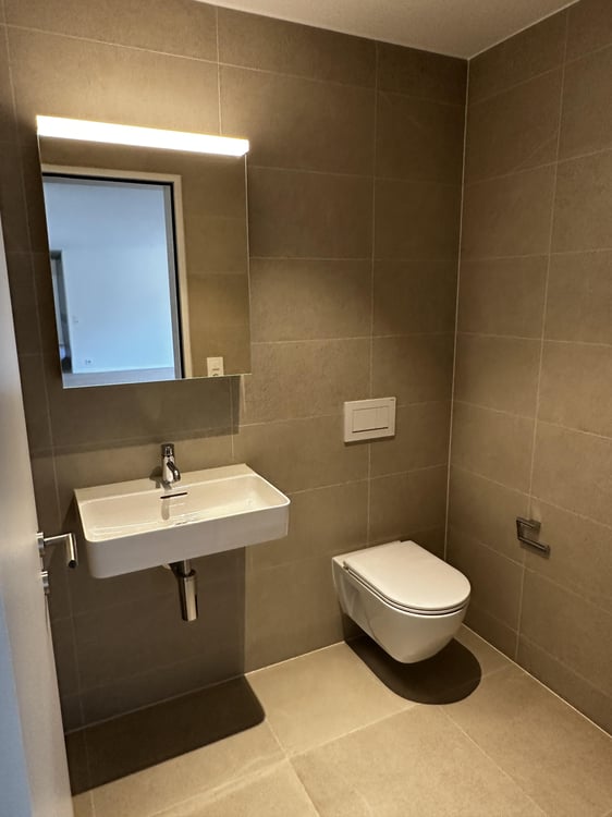 Erstvermietung - traumhafte 1.5-Zimmer-Attikawohnung mit grosser Terrasse und Blick ins Grüne 8