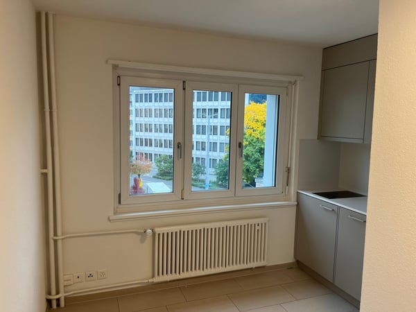 Urbane 2-Zimmer-Wohnung mit idealer Anbindung bei der Hardbrücke 4
