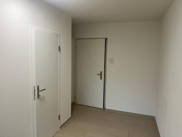 Urbane 2-Zimmer-Wohnung mit idealer Anbindung bei der Hardbrücke 2