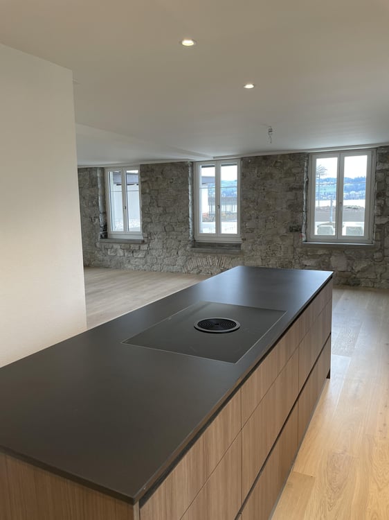 Traumhafte 3.5-Zimmer-Wohnung mit grosser Terrasse und direktem Zürichsee-Blick! 4