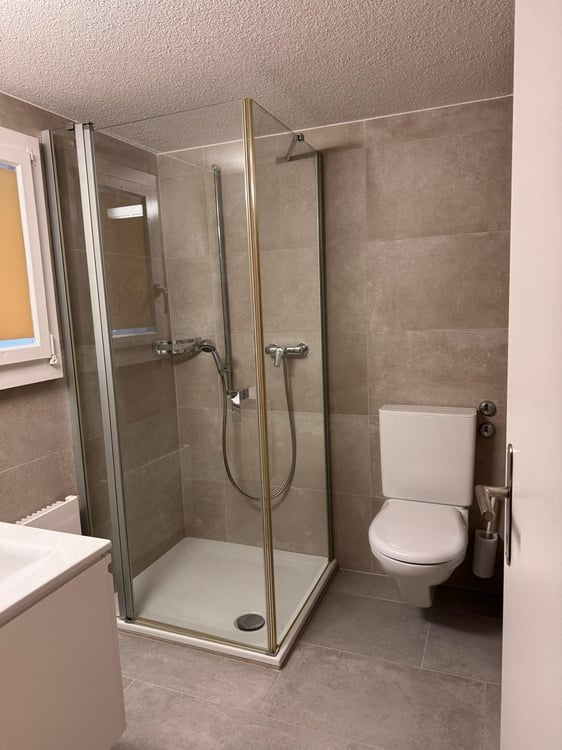 Gemütliche 1-Zimmer-Wohnung in Küssnacht am Rigi möbliert & zentral 5