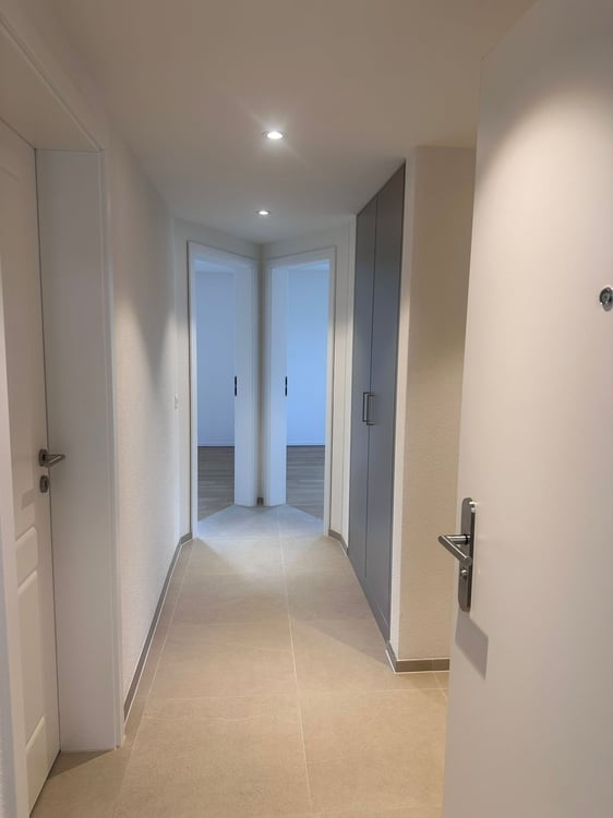 Sanierte 3.5-Zimmer-Wohnung in Dietikon zu vermieten! 1