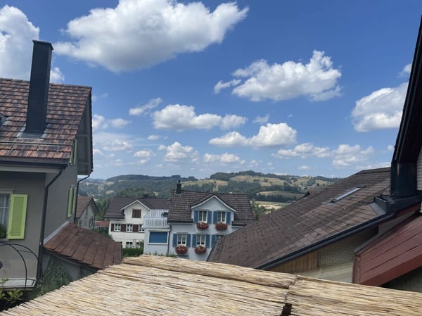 Totalsanierte, stilvolle 3½-Zimmerwohnung im Zentrum von Mogelsberg 8