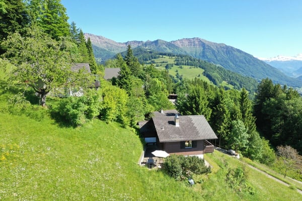Ferienhaus mit traumhafter Zürichsee- und Alpensicht - 894 m² Grundstück 2
