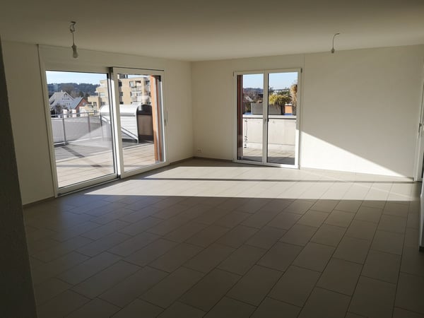 Sonnendurchflutete 4.5-Zimmer-Attikawohnung mit 123 m² Terrasse 8