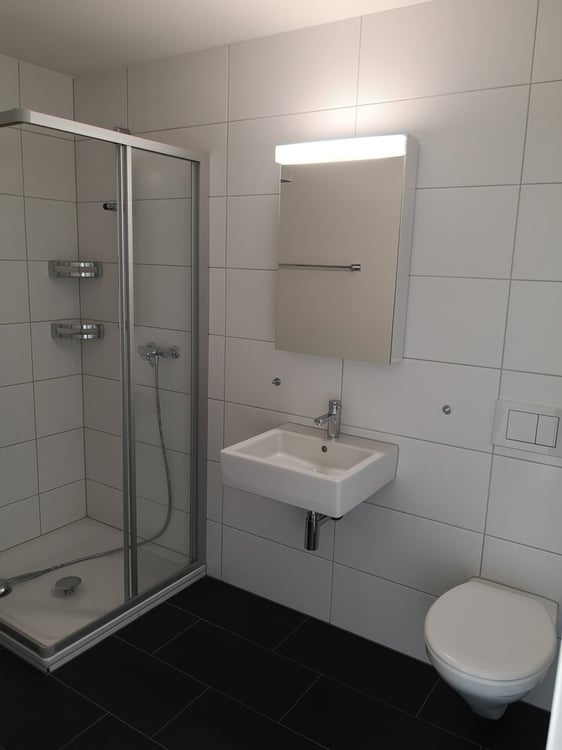 Sonnendurchflutete 4.5-Zimmer-Attikawohnung mit 123 m² Terrasse 6