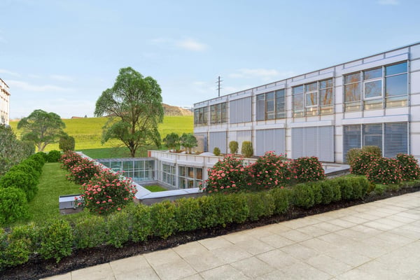 Gewerbeflächen ab 381 m² 5