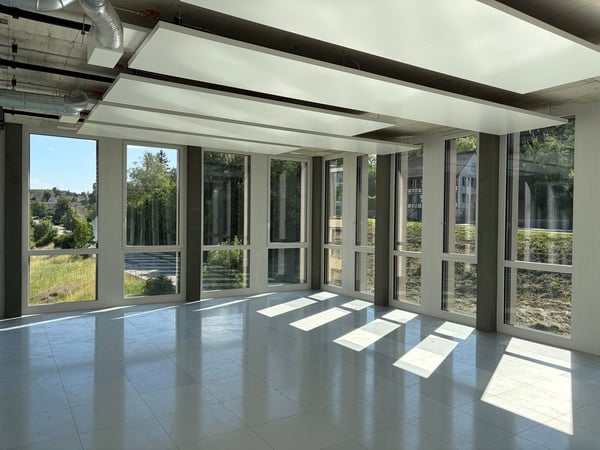 Moderne Loftfläche mit Mezzanin und grandiosem Industriecharakter 2