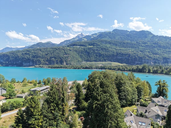 Wohnen zwischen See und Natur 8