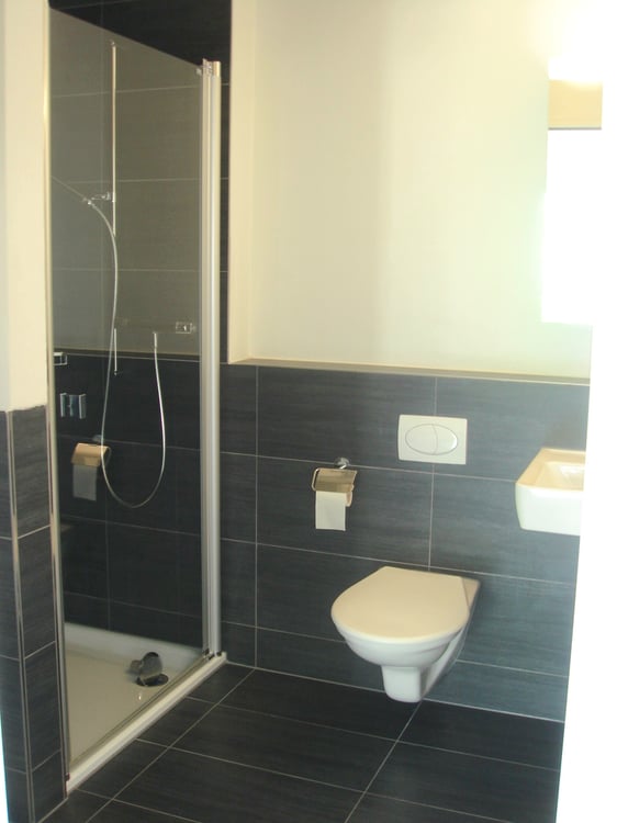 1.5-Zimmerwohnung an ruhiger Lage in Lachen 4