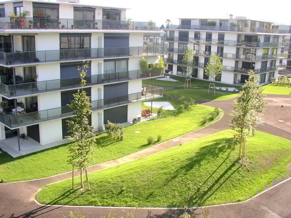 1.5-Zimmerwohnung an ruhiger Lage in Lachen 1