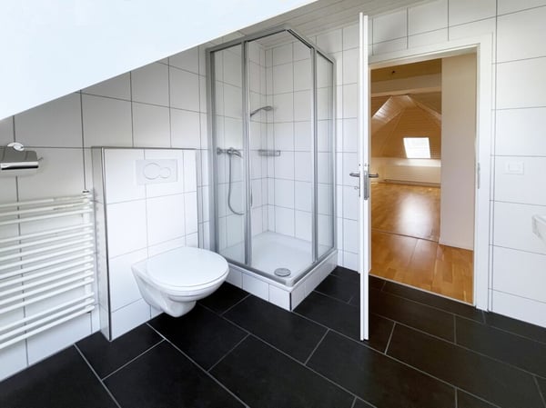 Dachwohnung in renoviertem Jugendstilhaus 8