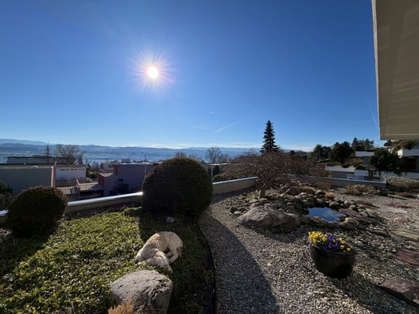 4.5-Zimmer-Terrassenwohnung mit herrlichen Aussenflächen und traumhafter Weitsicht! 2