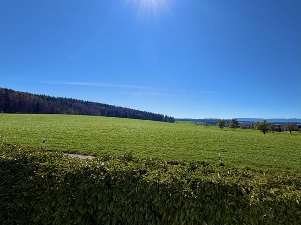 Vorschaubild der Immobilie