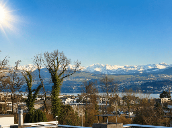 4.5-Zimmer-Terrassenhaus mit 180-Grad See- und Weitsicht! 3