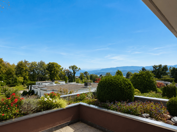 4.5-Zimmer-Terrassenhaus mit 180-Grad See- und Weitsicht! 4
