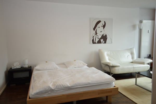 Charmantes 1,5-Zimmer-Wohnung mit Balkon im Seefeld-Bezirk von Zürich 8
