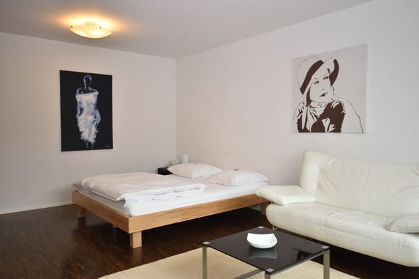 Charmantes 1,5-Zimmer-Wohnung mit Balkon im Seefeld-Bezirk von Zürich 10