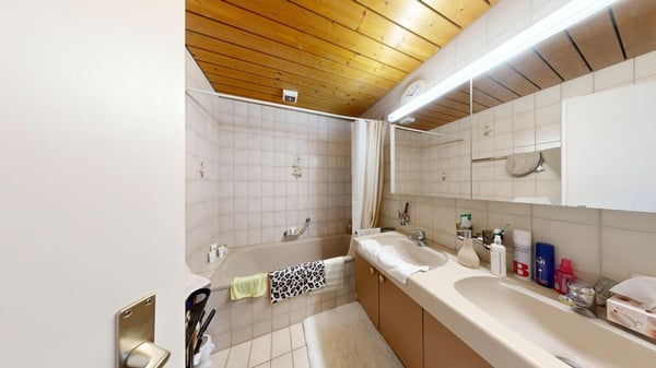 Einzigartige Gewerbeliegenschaft mit zwei 4.5 Zimmer Dachwohnungen 18