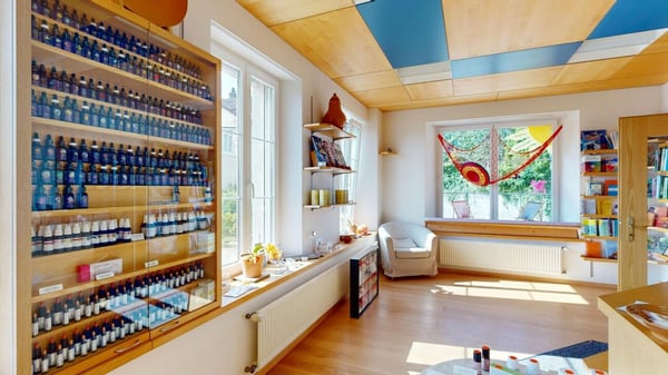 Wohn- / Seminarhaus mit grandiosem Bodensee-Blick 3