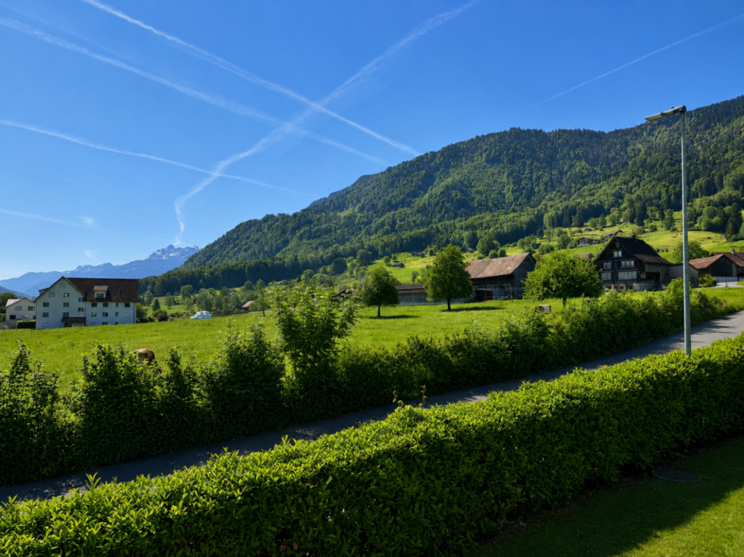 2.5-Zimmerwohnung in Reichenburg