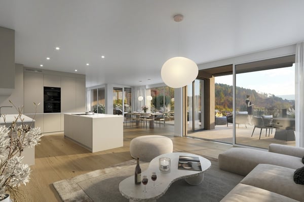 Neue, hochwertige 4.5-Zimmer-Attikawohnung mit Aussicht in Schaffhausen 2