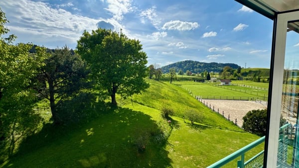 charmante 1.5 Zi.-Maisonette-Dachwohnung in gepflegter Wohnlage 2