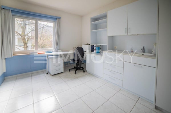 Ihr repräsentatives Büro für grosse Pläne 4