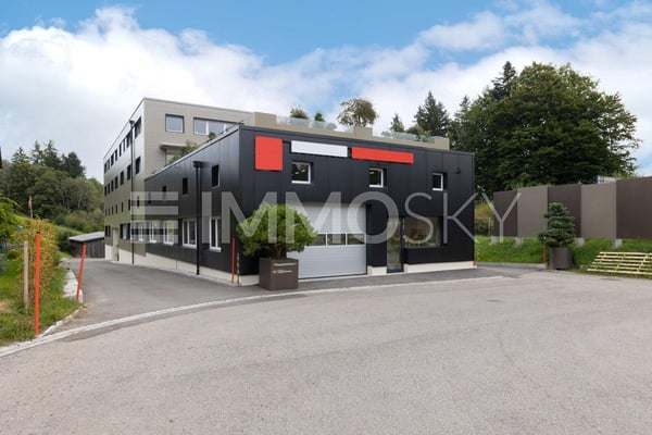 Repräsentatives Büro gestalten 1