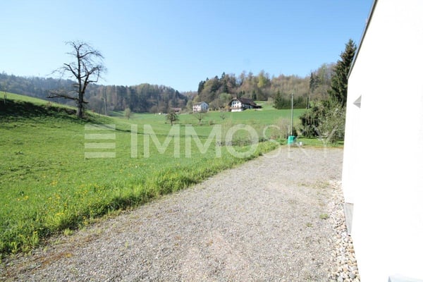 Mehr Büro für Ihr Budget – inklusive Wiesenpanorama 4