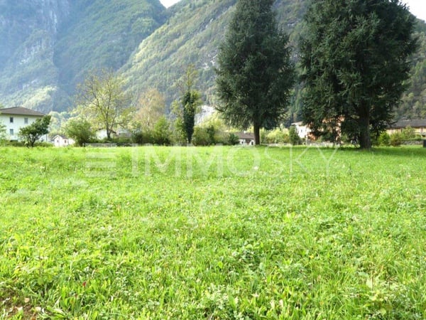 Un terreno da sogno per la casa che hai sempre desiderato! 3