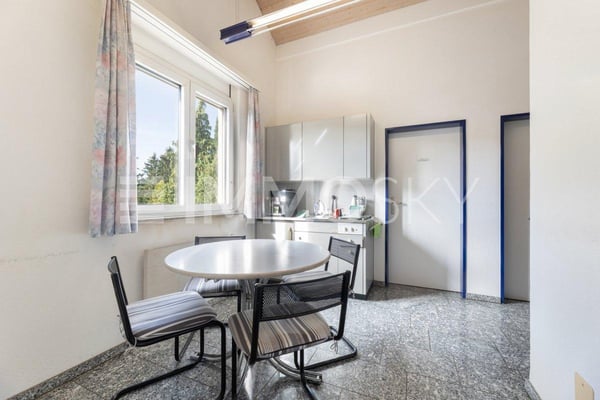 Seltener Fund: Wohnhaus mit grosszügiger Werkstatt und Büros 7