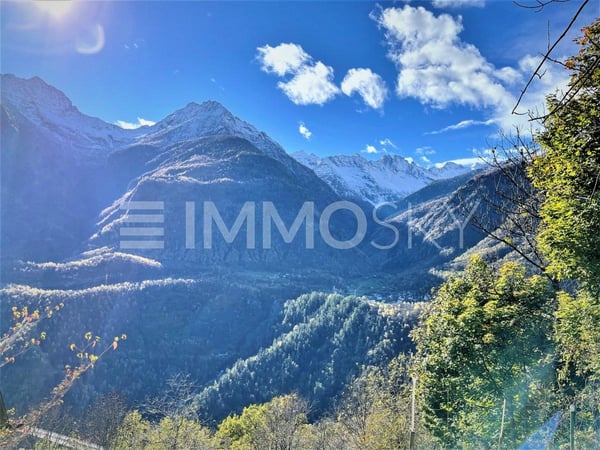 A contatto con la natura 2