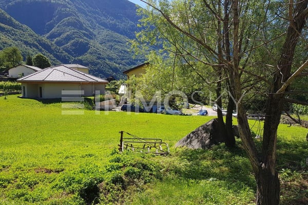 Costruisci la tua casa nel verde 3