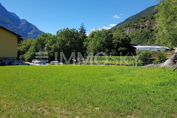 Costruisci la tua casa nel verde 1